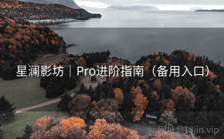 星澜影坊｜Pro进阶指南（备用入口）  第2张