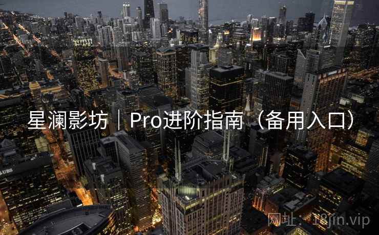 星澜影坊｜Pro进阶指南（备用入口）  第1张