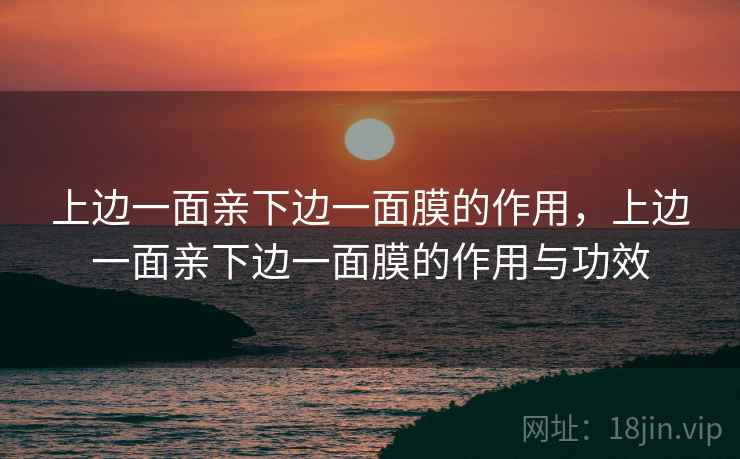 上边一面亲下边一面膜的作用，上边一面亲下边一面膜的作用与功效  第1张